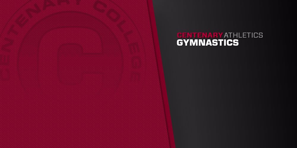 Gymnastic Introduces Incoming Freshmen Class