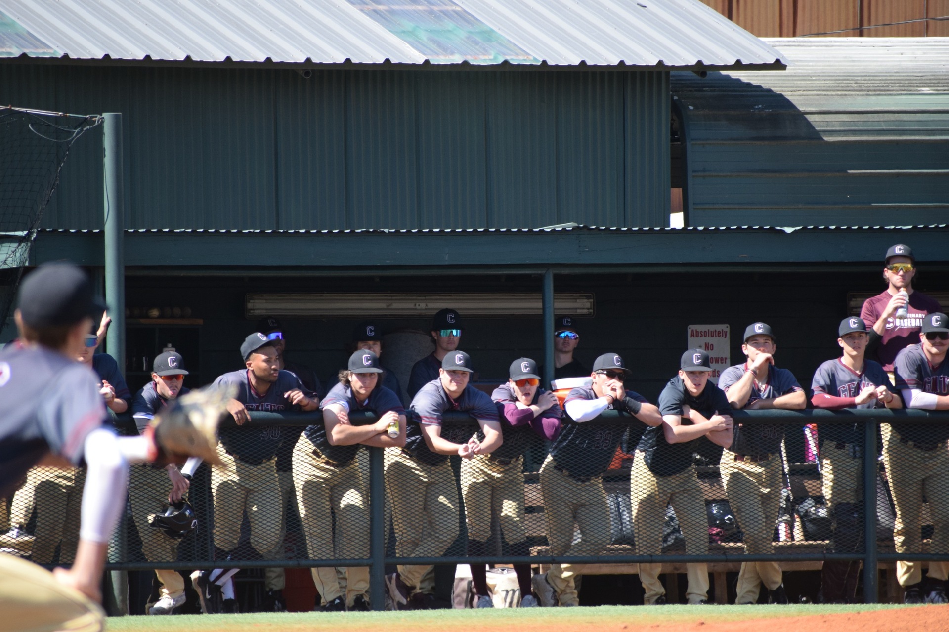 Baseball Falls At Trinity In Series Opener On Friday