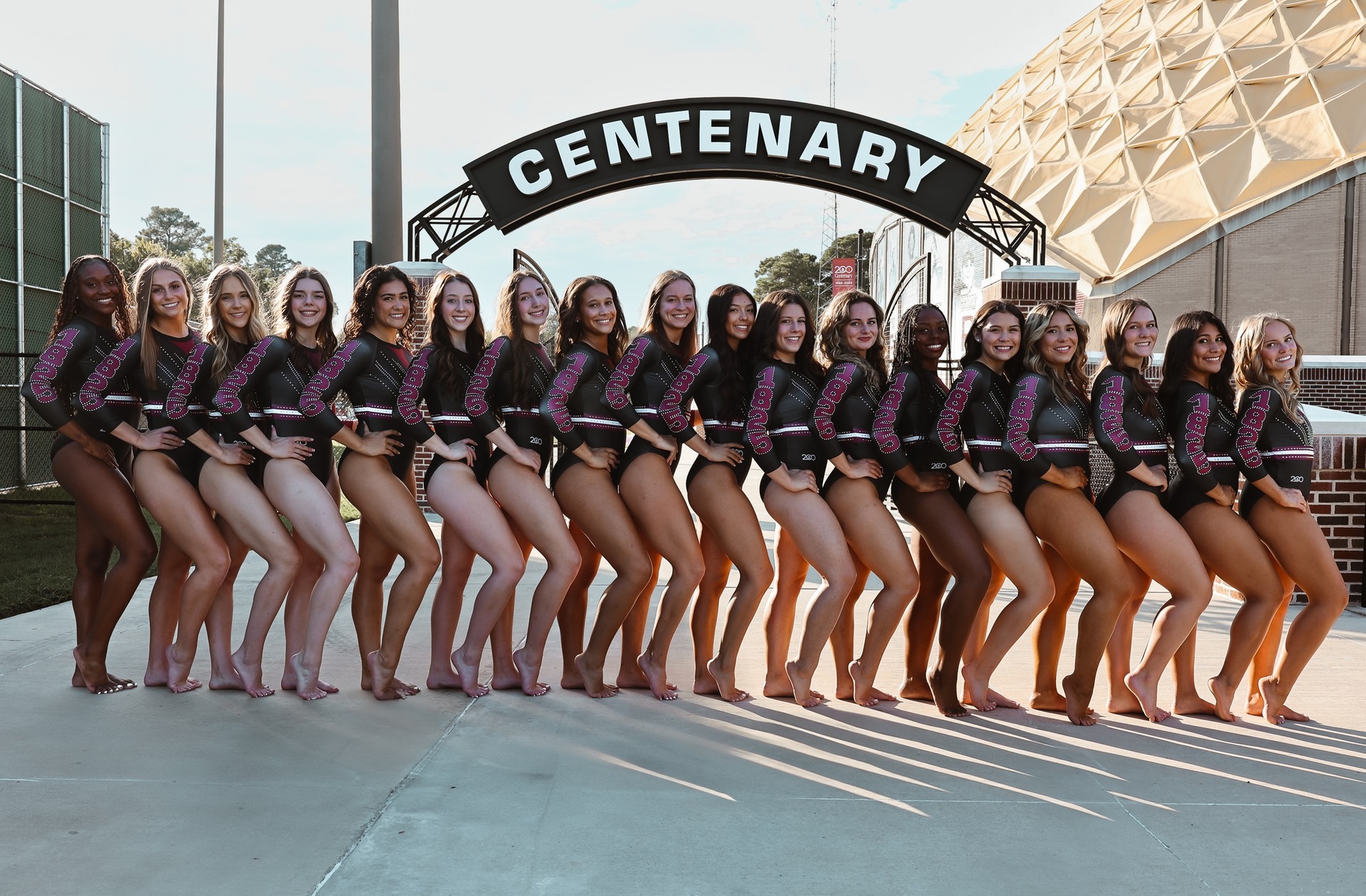 Gymnastics Meet At Greenville On Saturday Cancelled