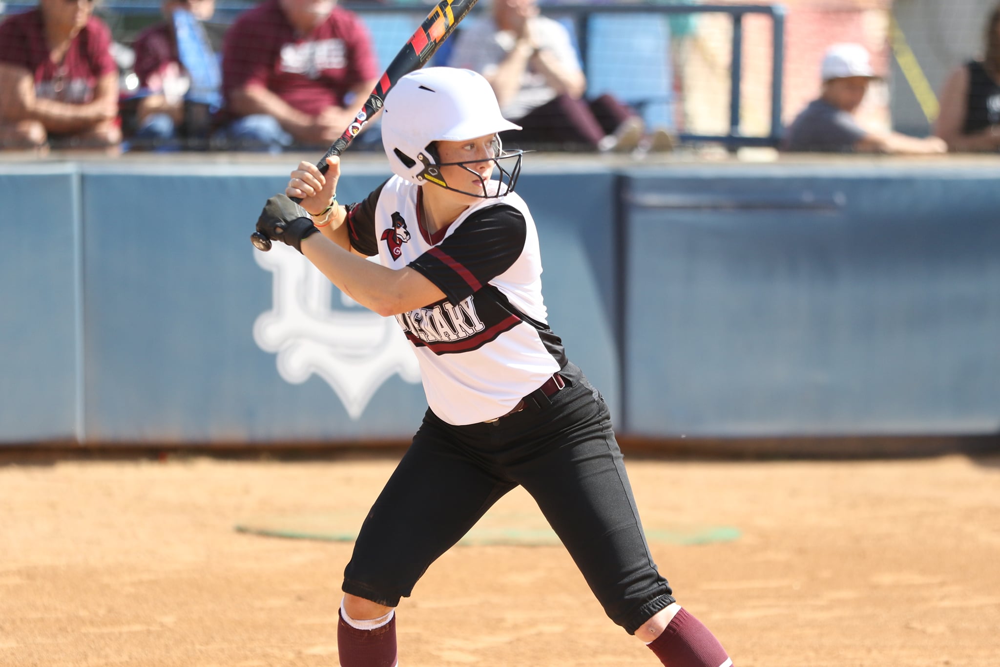 The Ladies will be back at home on Tuesday for a DH against Millsaps.