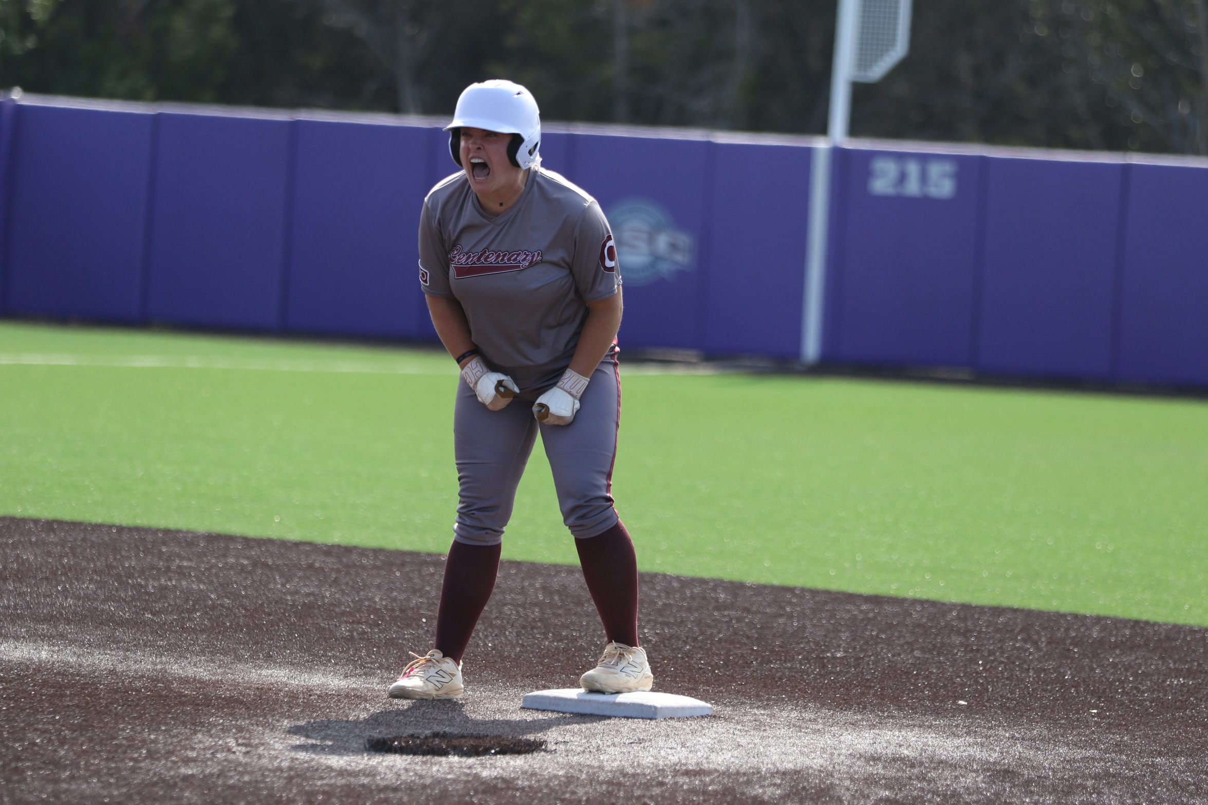 The Ladies eliminated McMurry 6-1 on Saturday and kept their season alive.