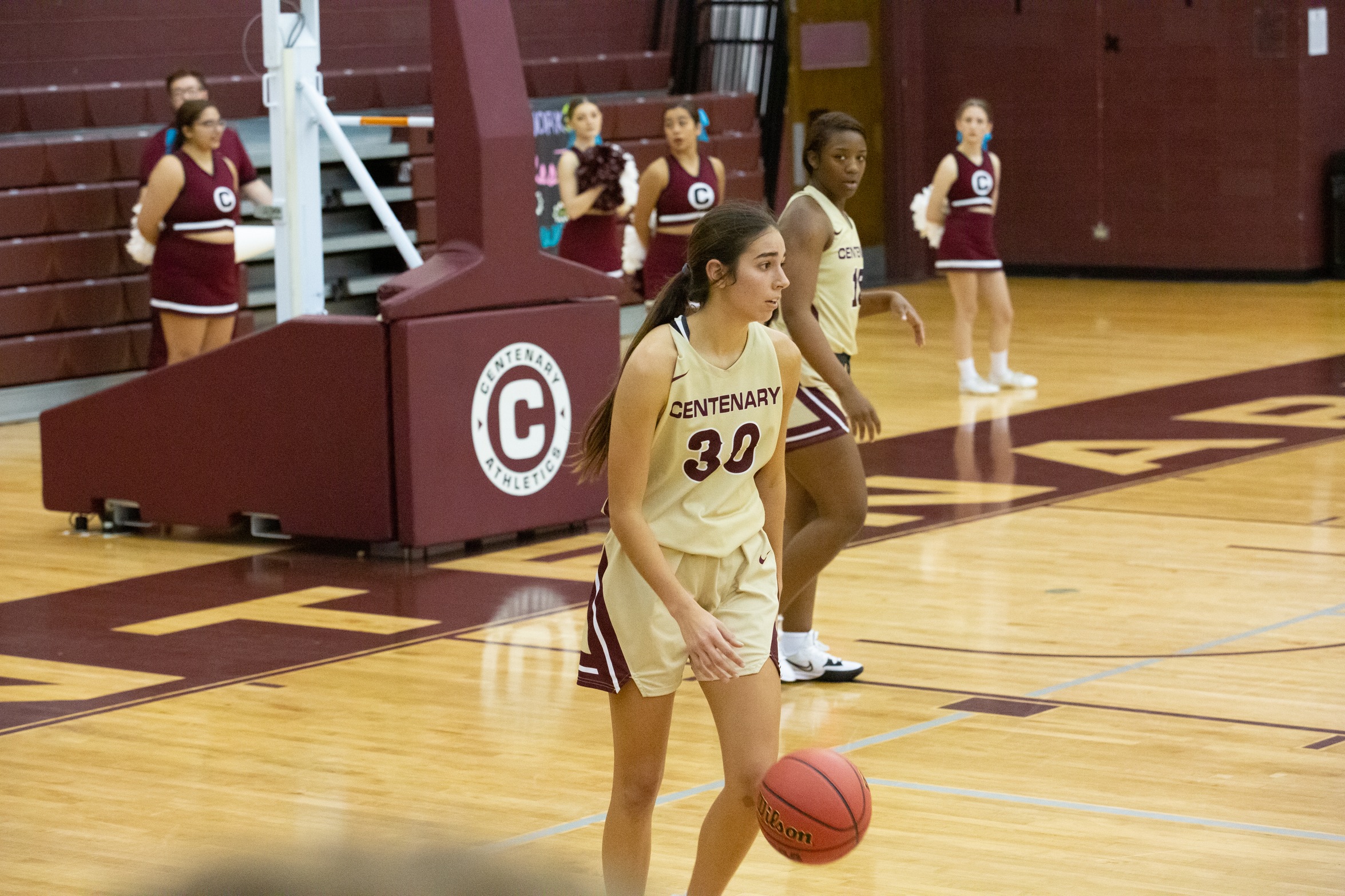 Ladies Fall At Home To Wildcats, 71-56