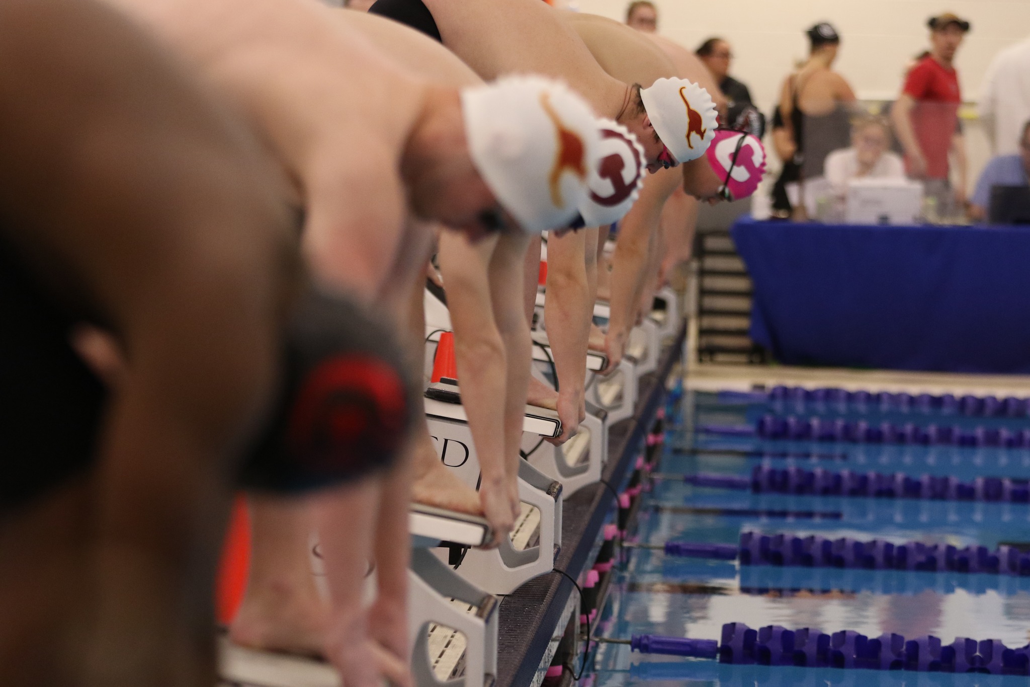 Swimming Earns Home Victory Over Ozarks On Saturday