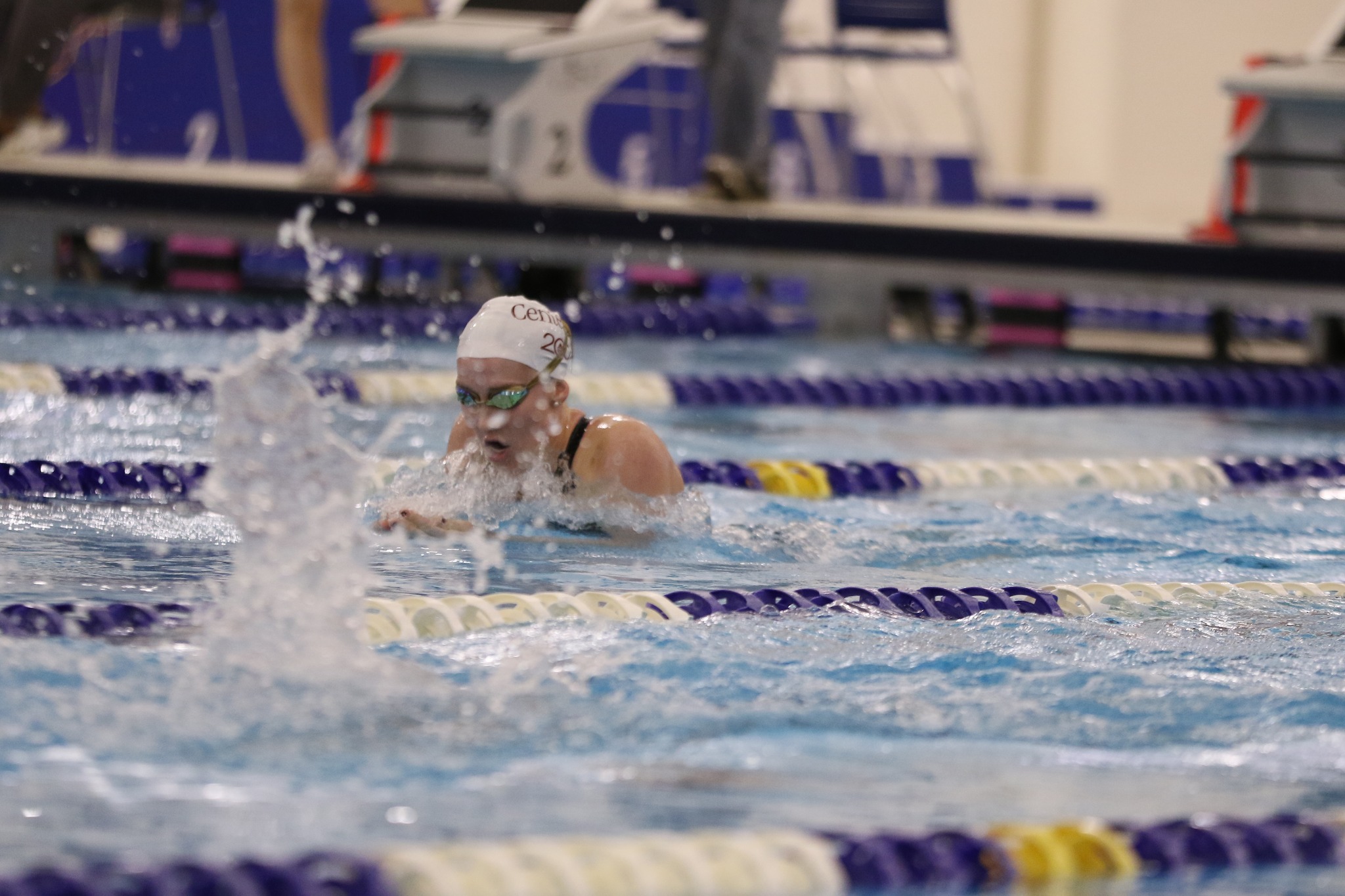 Swimming Earns Home Victory Over Ozarks On Saturday