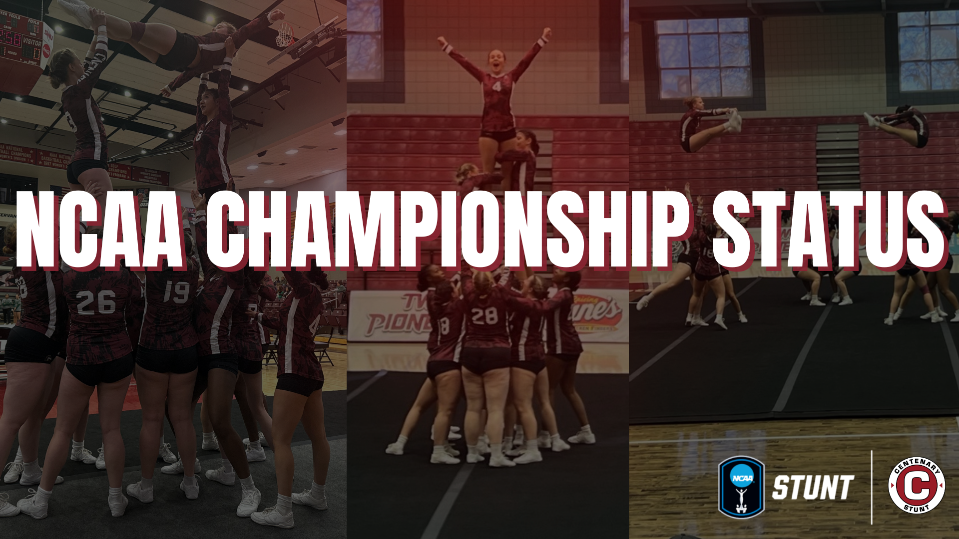 Stunt Earns NCAA Championship Status