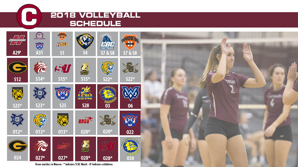Ladies Volleyball Announces 2018 Schedule